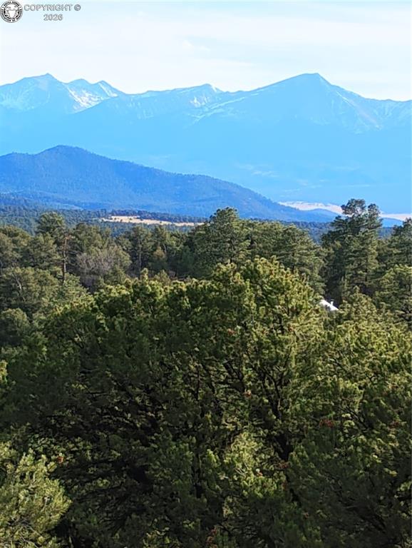 Caption: View