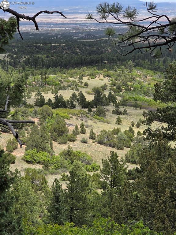 Caption: Expansive mountainous landscape featuring abundant evergreen trees, varied natural foliage, and dist