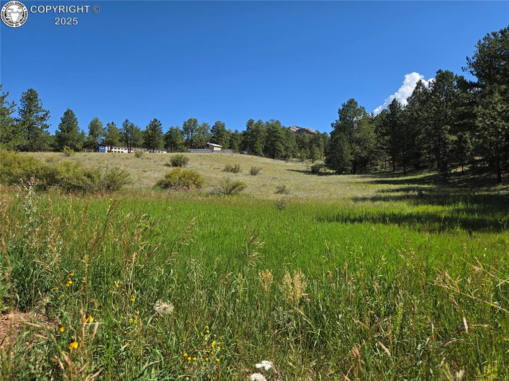 Caption: View of nature featuring rural landscape