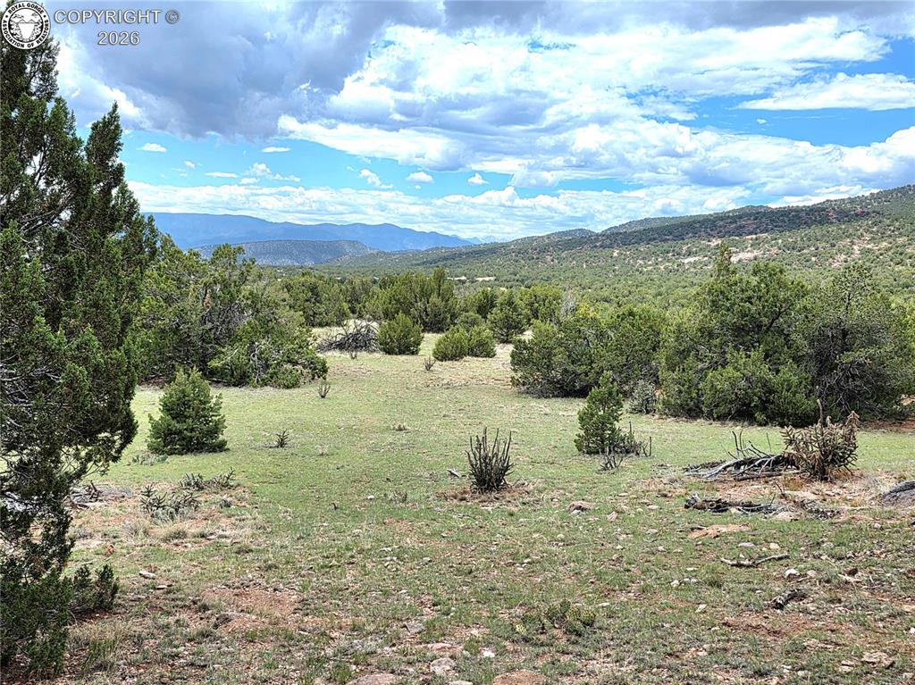 Caption: Expansive natural landscape featuring rolling hills and abundant evergreen trees