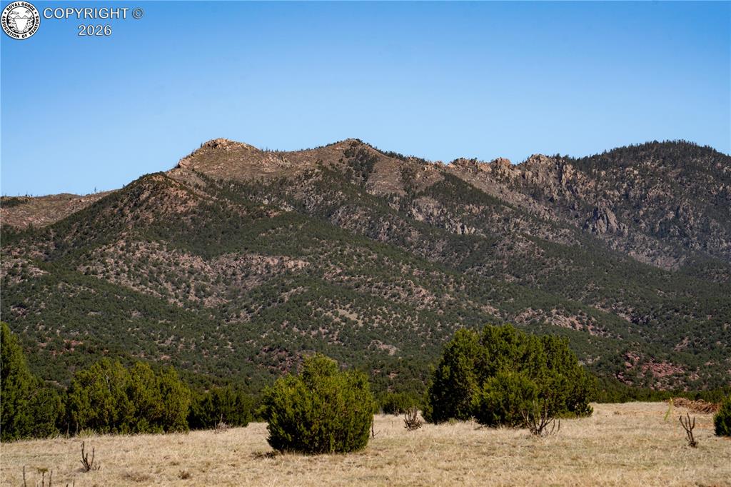 Caption: Expansive mountain terrain featuring diverse vegetation and rock formations