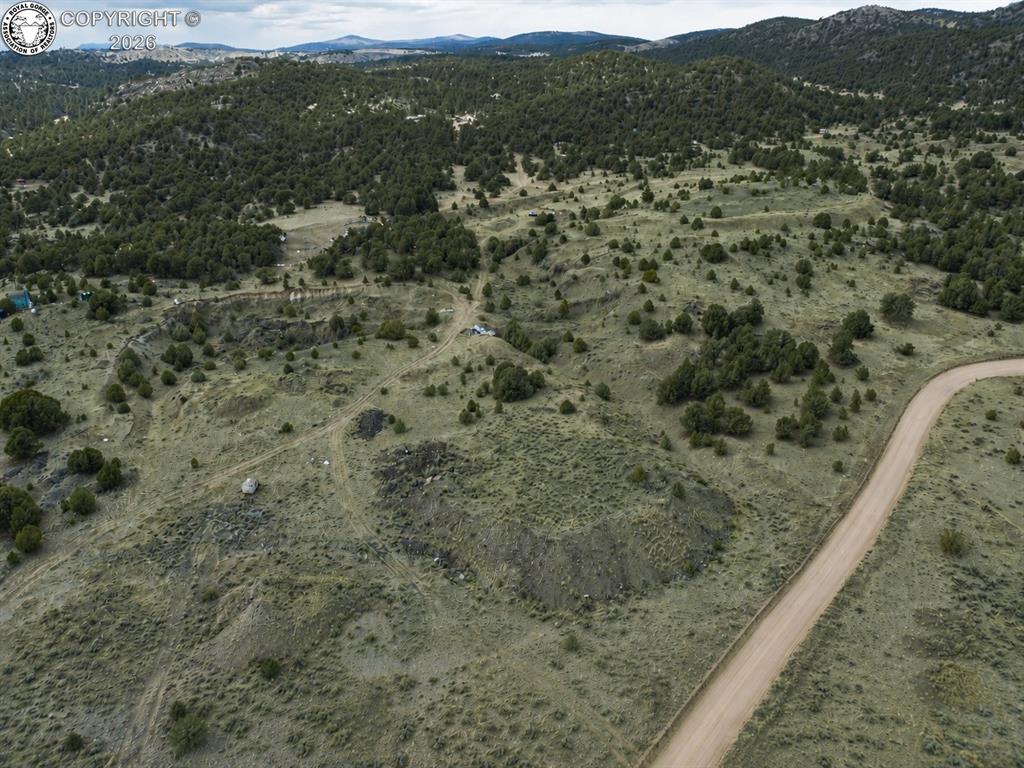 Caption: Expansive land parcel featuring a winding dirt road, scattered evergreen trees, and rolling terrain