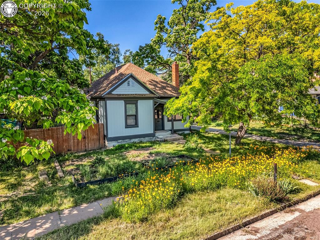 Caption: Summer blooms