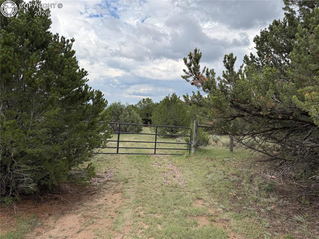 Caption: Fully fence, well, spetic and electric connected.  Camper and shed, too!