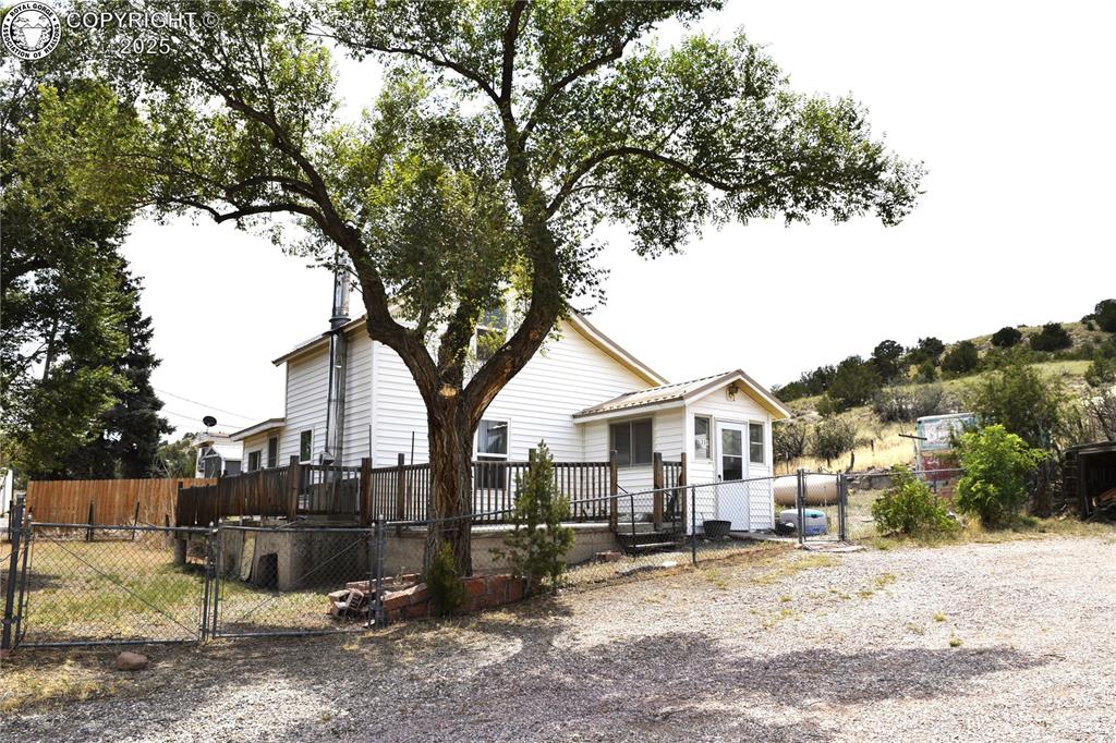 Caption: The Trees have been trimmed!