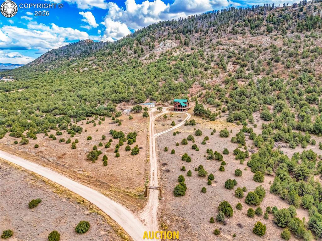 Caption: Aerial View