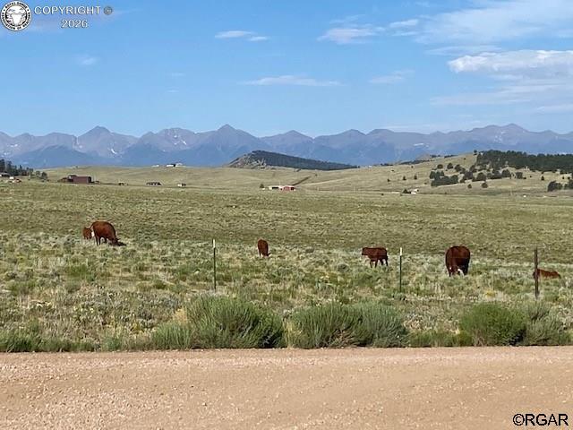 Photo of 6316540