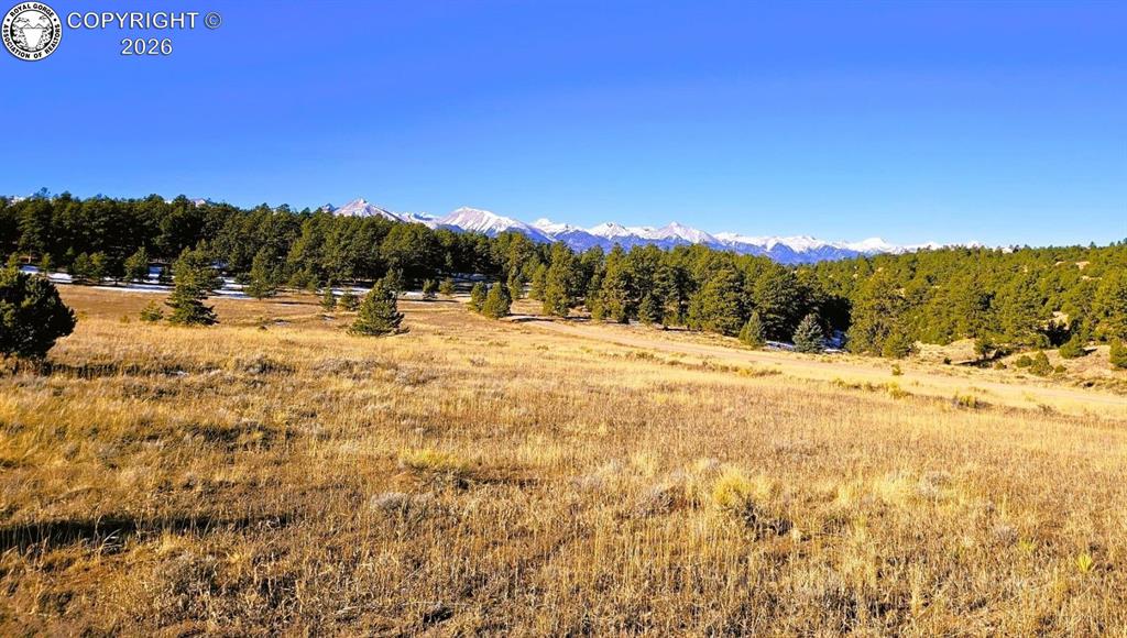 Caption: View of mountain backdrop with rural landscape and a forest