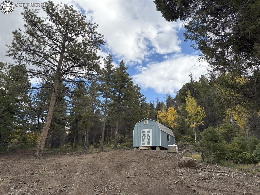 Caption: View of yard with a view of trees and a shed