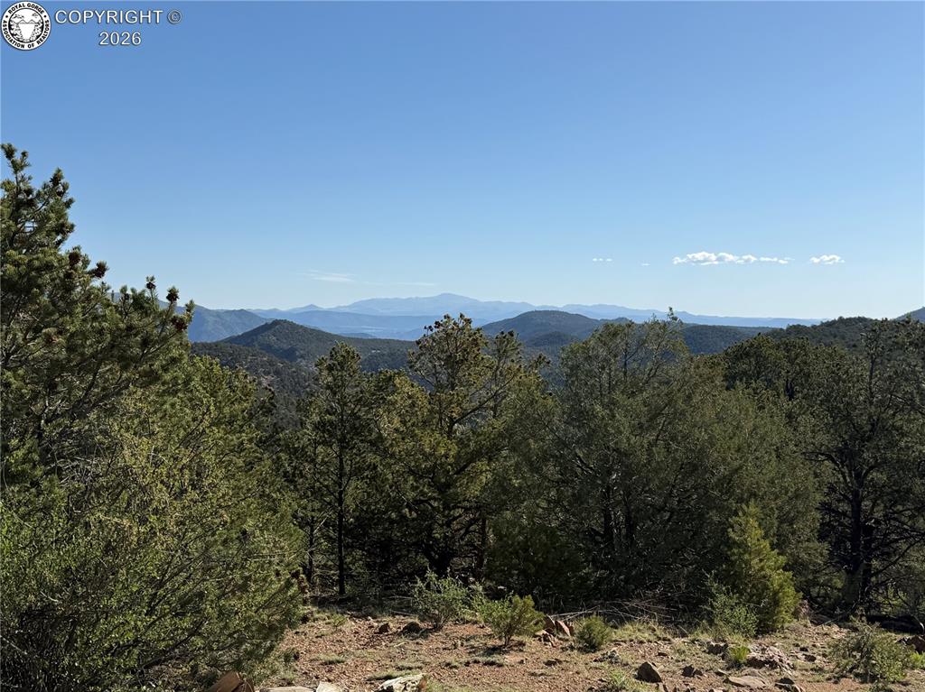 Caption: Pikes Peak to the North/East from a very nice landing at the top of the driveway from the top of the