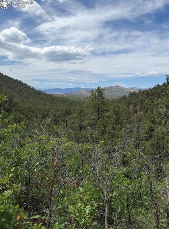 Caption: Expansive natural landscape featuring diverse tree cover and distant mountains