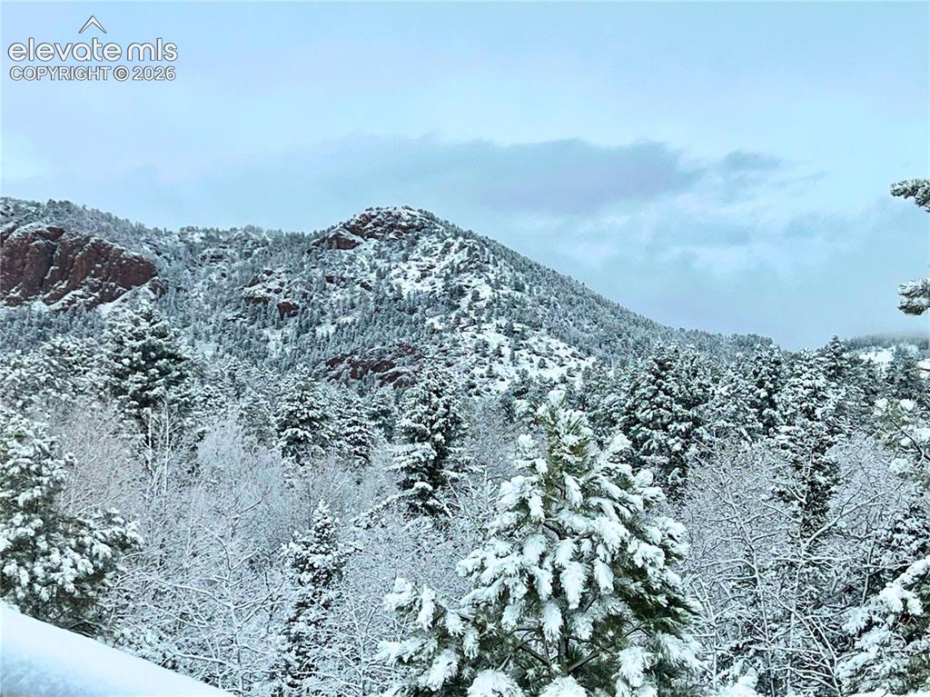 Image 40 of 46: Snow-covered mountain landscape featuring evergreen trees and rocky formati