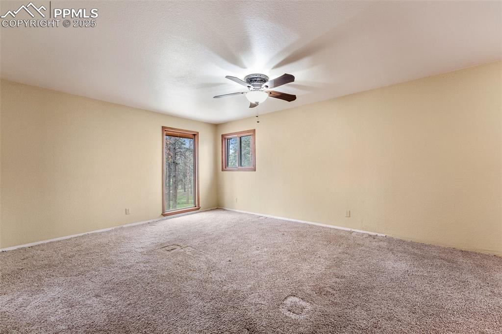 Image 13 of 43: Primary bedroom on the main level
with carpet