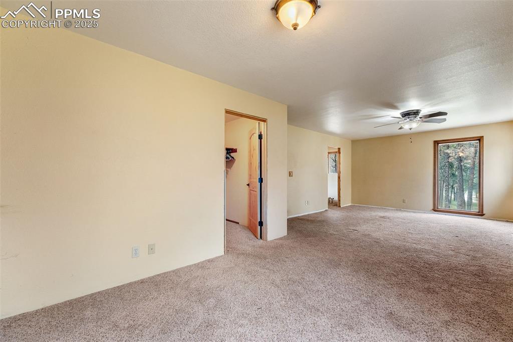 Image 15 of 43: Floor to ceiling windows fill the
space with light