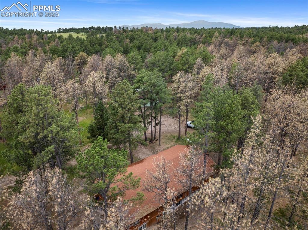 Image 40 of 43: Aerial View