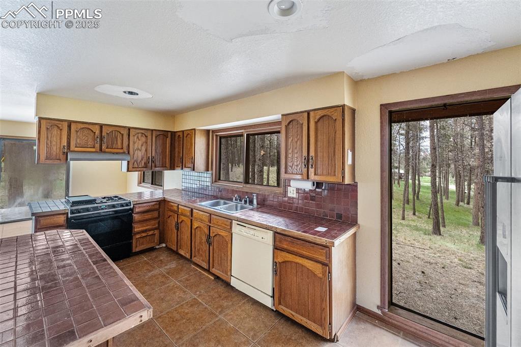 Image 9 of 43: Walkout access from the kitchen