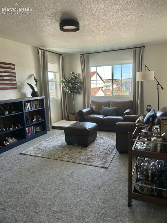 Image 10 of 15: Living Room