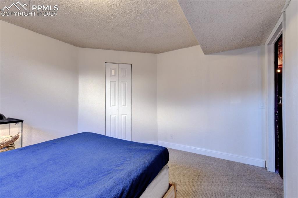 Image 11 of 37: Basement Bedroom. Beared Dragon Excluded. New Interior Paint and New Carpet