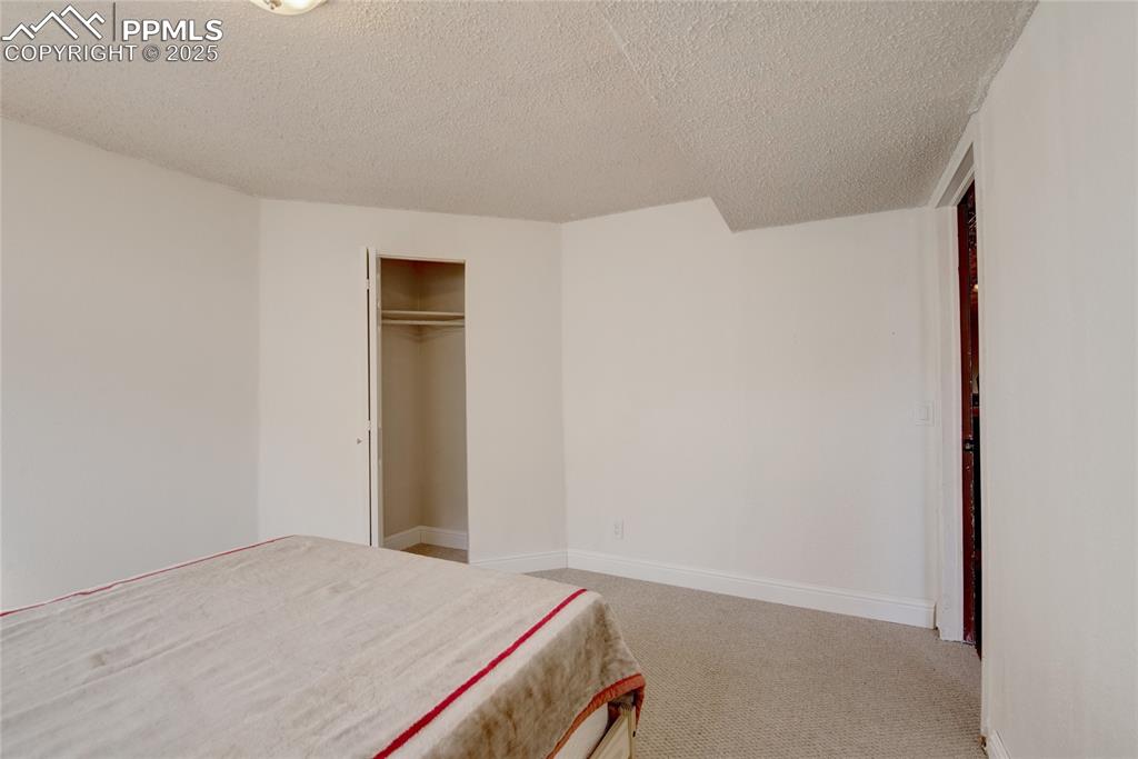 Image 12 of 37: Basement Bedroom. Beared Dragon Excluded. New Interior Paint and New Carpet