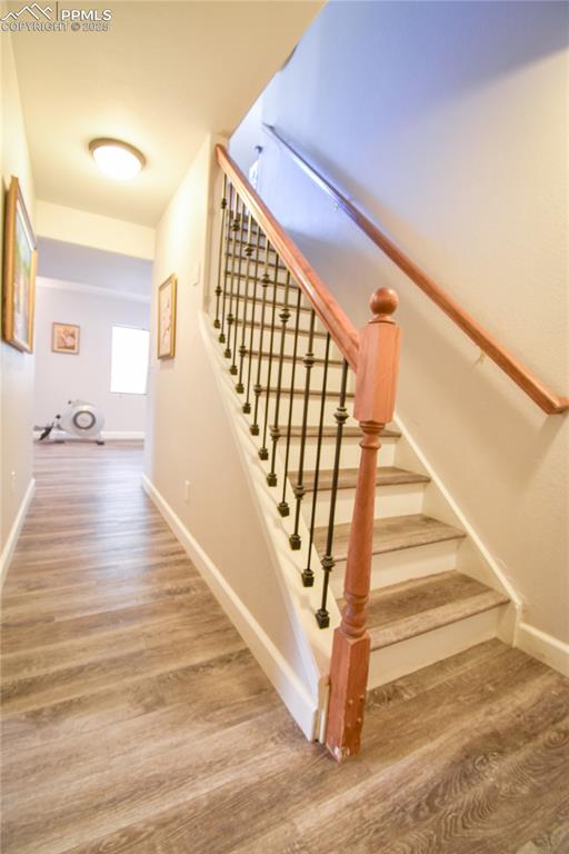 Image 15 of 38: Other