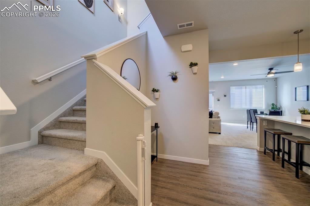 Image 23 of 42: Other