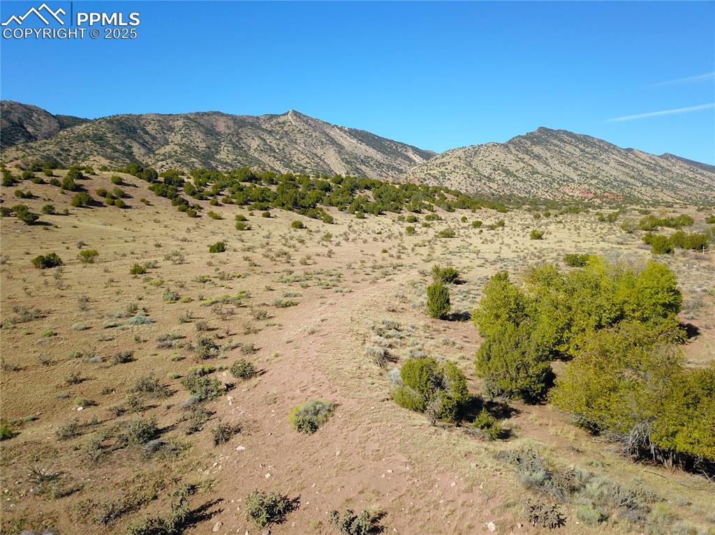 Image 11 of 16: View