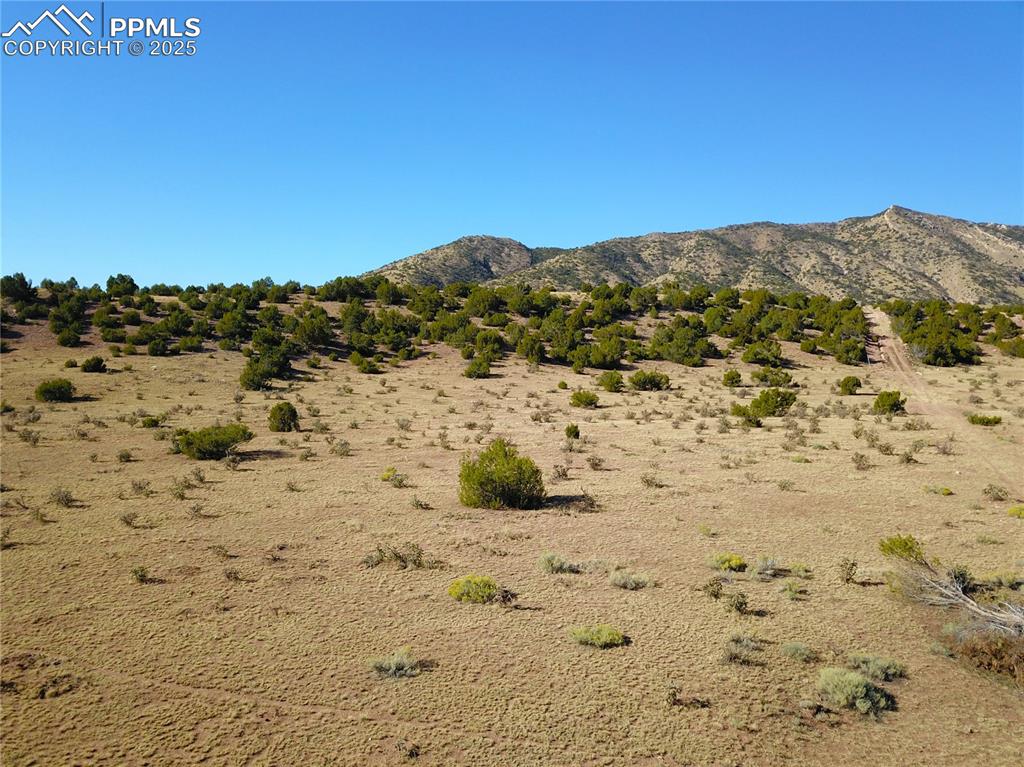 Image 12 of 16: View