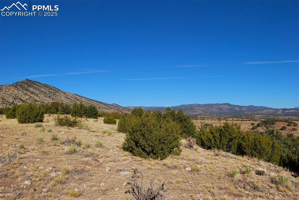 Image 14 of 16: View