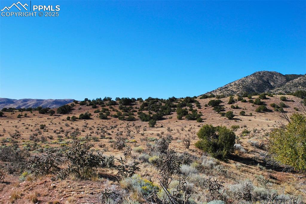 Image 15 of 16: View