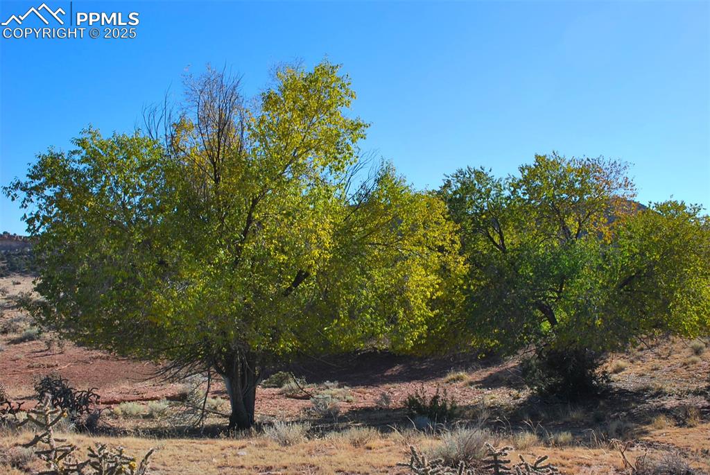 Image 5 of 16: Other