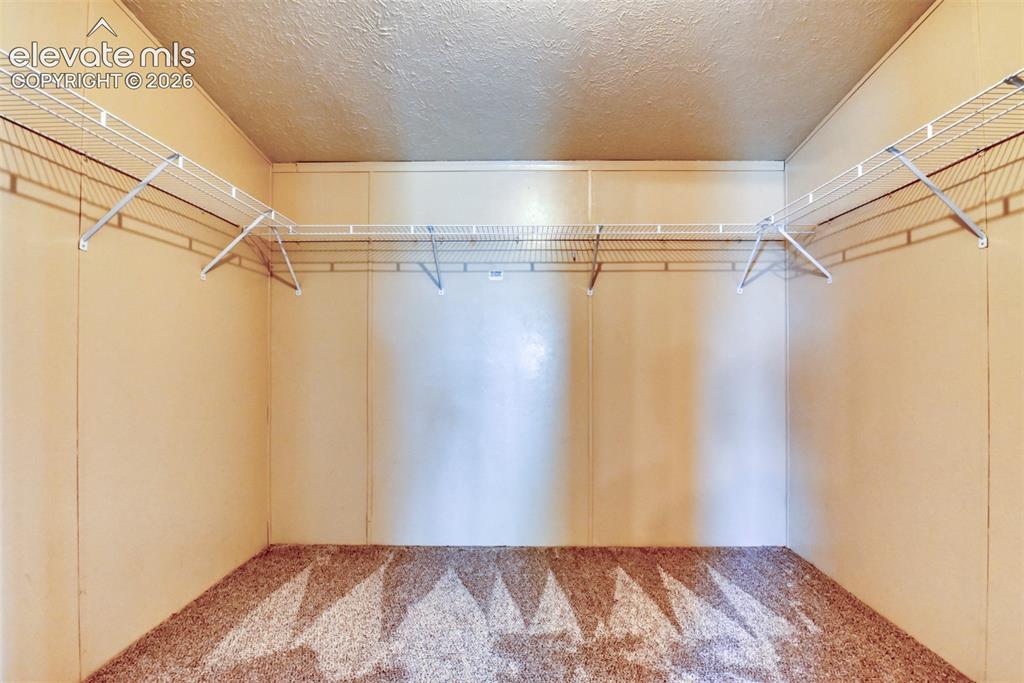 Image 14 of 50: Carpeted room featuring a ceiling fan with integrated lighting, wood-finish