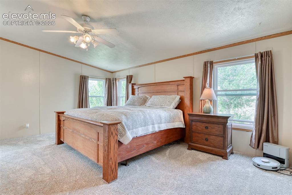 Image 19 of 37: Carpeted room featuring a ceiling fan with integrated lighting, two windows