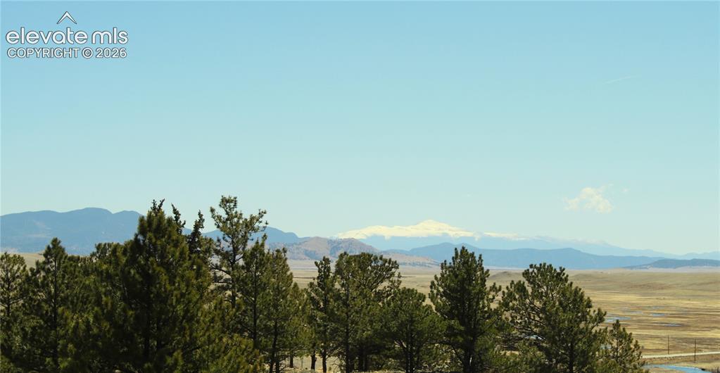 Image 13 of 15: View