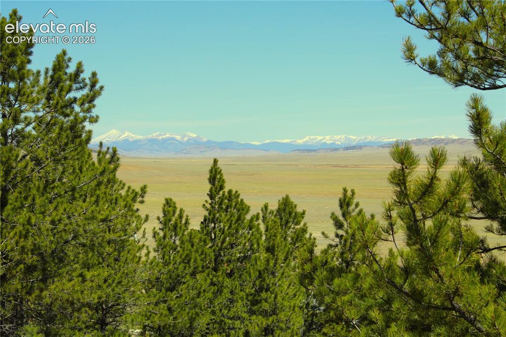 Image 14 of 15: View