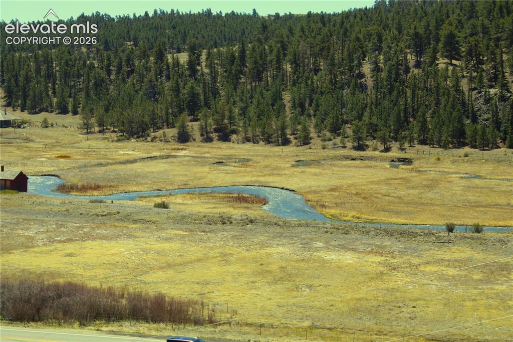 Image 4 of 15: View of the South Platte River