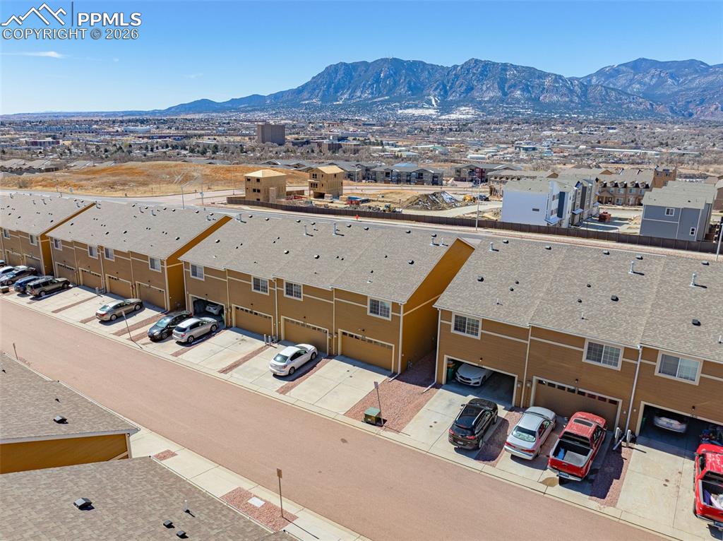 Image 23 of 30: Bird