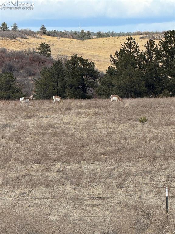 Image 41 of 46: Home near to open space/ranch area with wildlife sightings