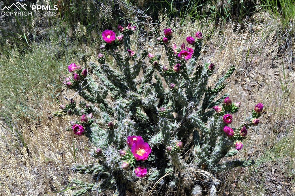 Image 32 of 50: Other