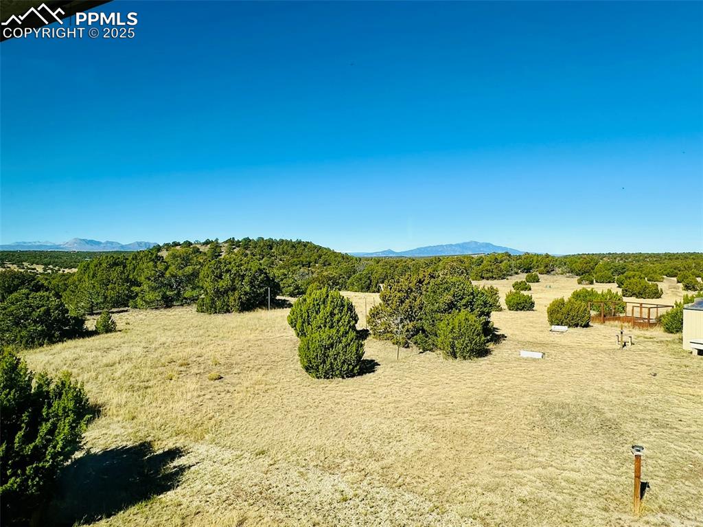 Image 49 of 50: View