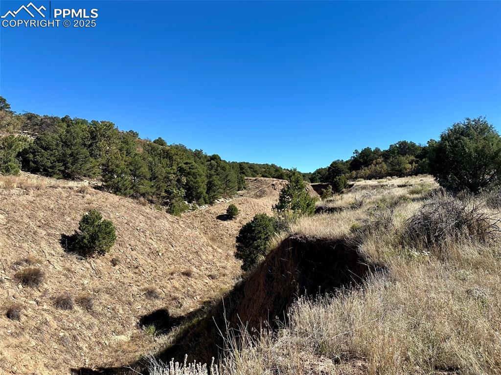 Image 50 of 50: Other