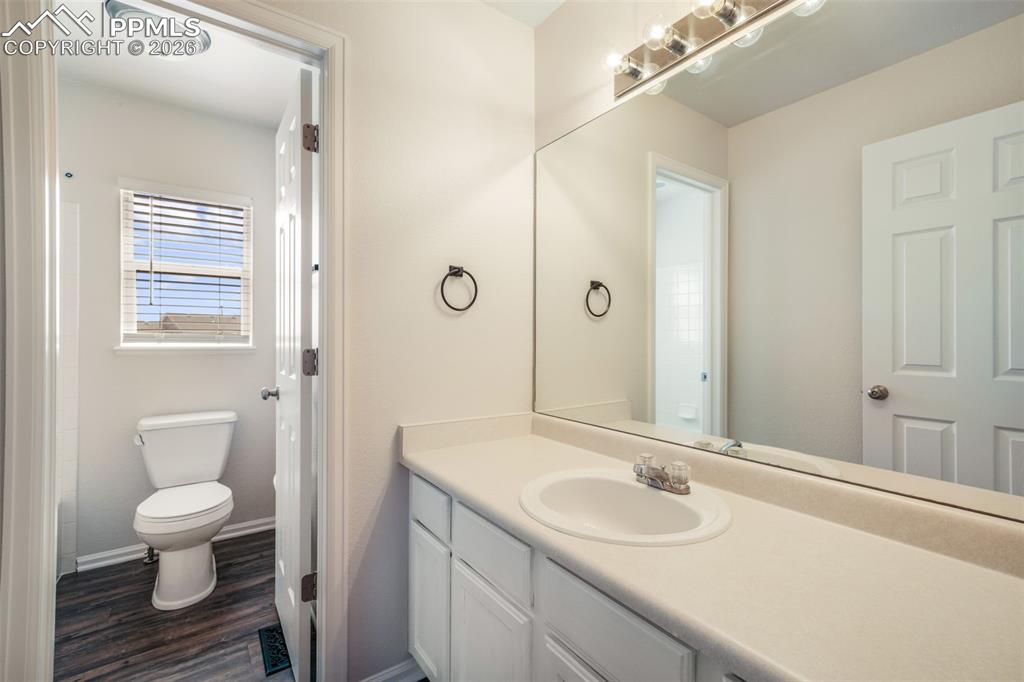 Image 31 of 46: Other