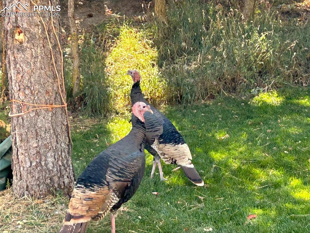 Image 32 of 32: No Description Available