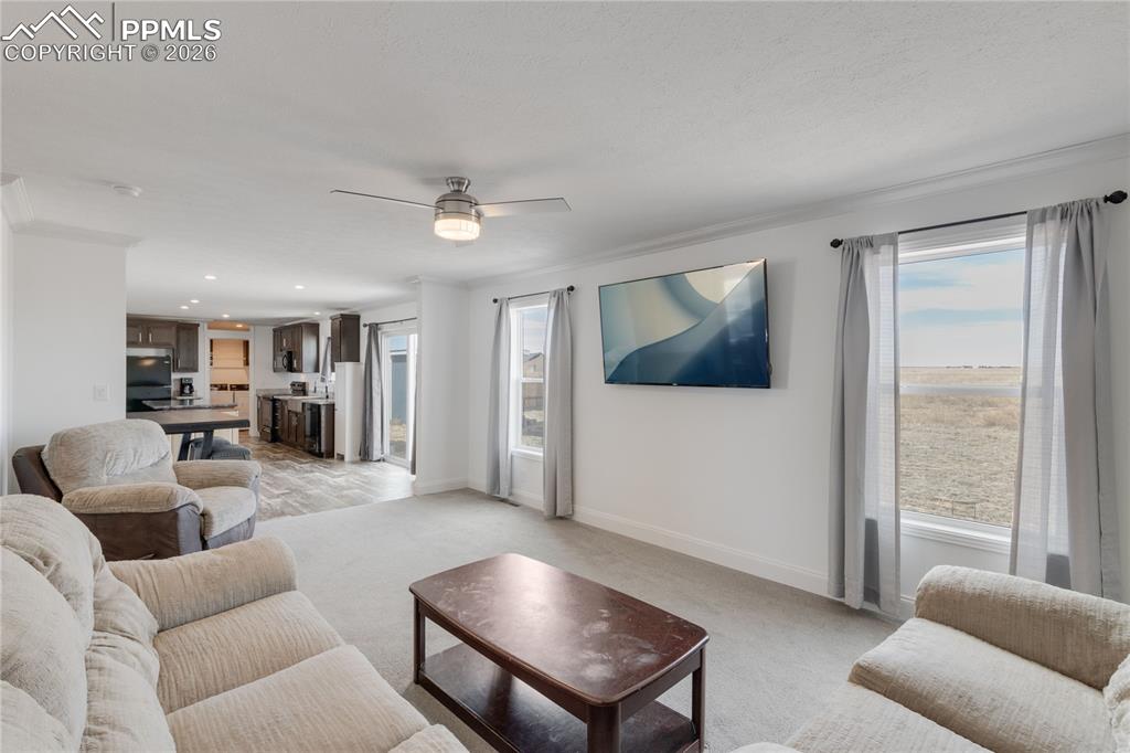 Image 15 of 34: Family Room