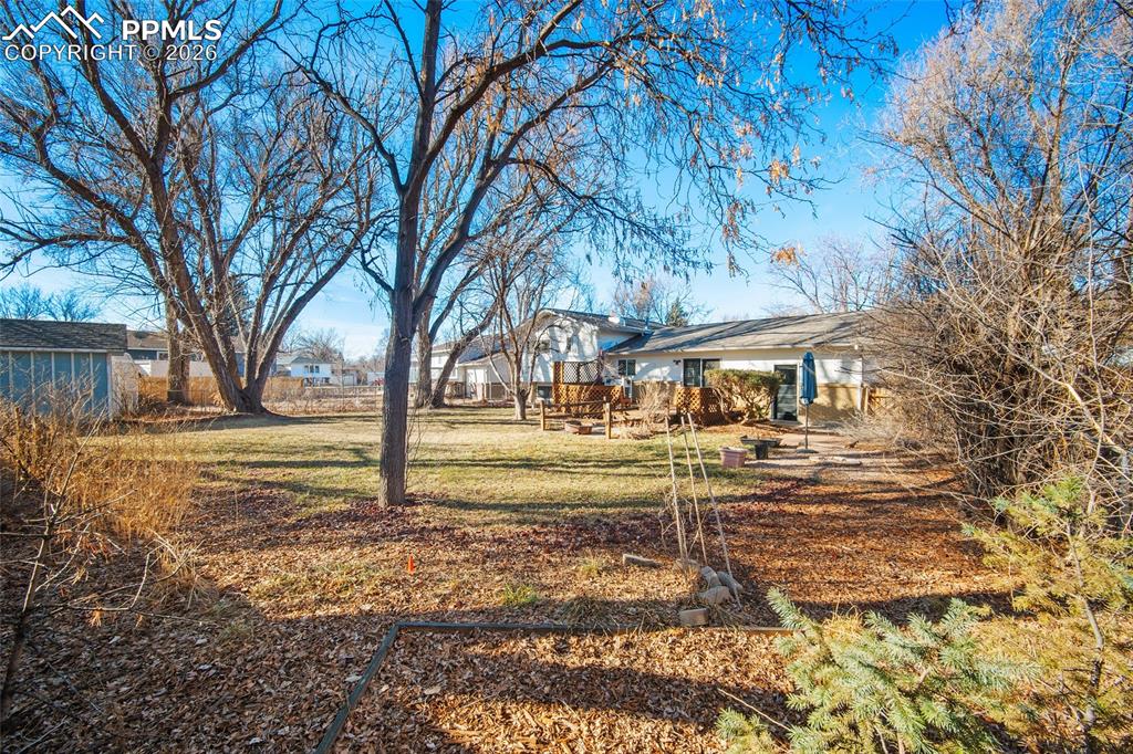 Image 33 of 42: No Description Available