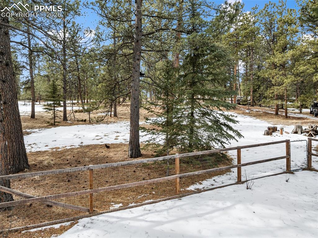 Image 38 of 50: Yard