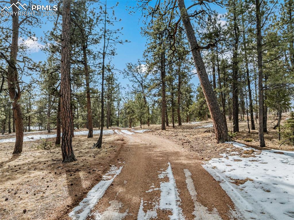 Image 50 of 50: Driveway, leads to private setting