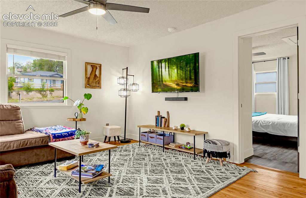 Image 19 of 46: Hardwood-style flooring throughout the main space, complemented by a ceilin