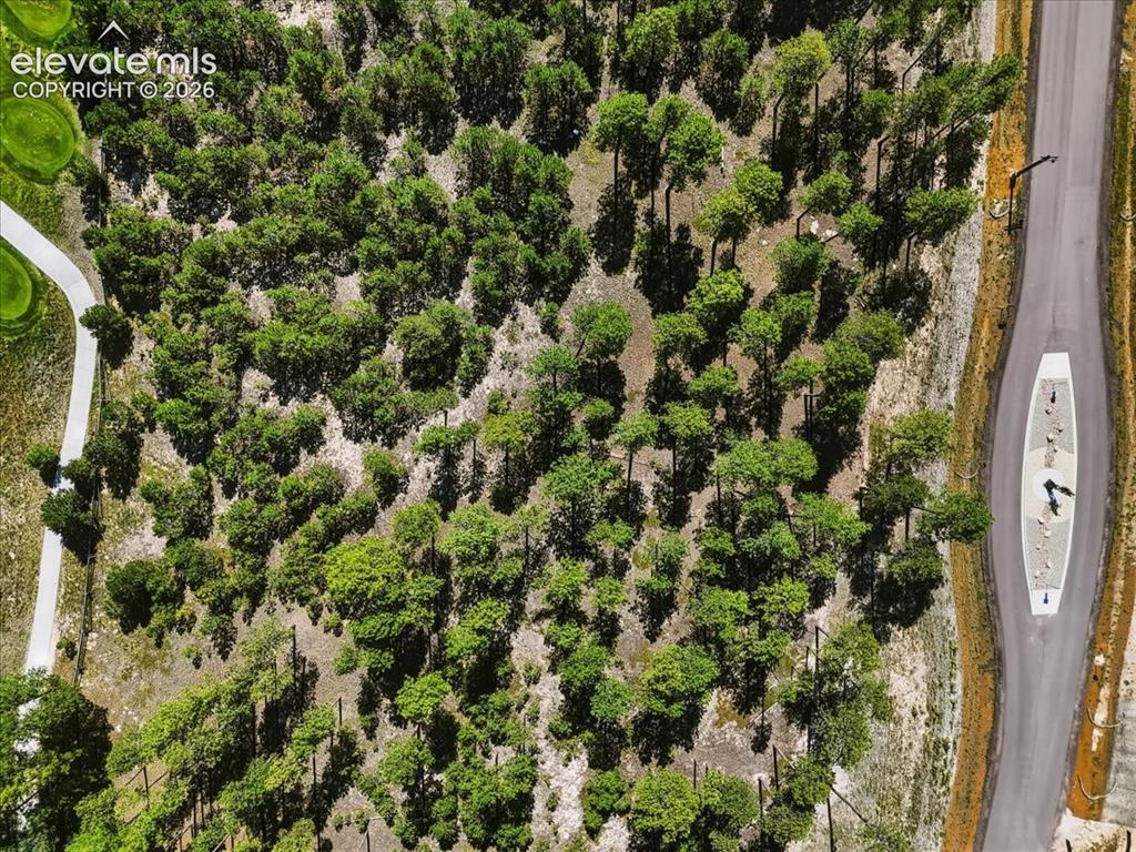 Image 15 of 27: Aerial View