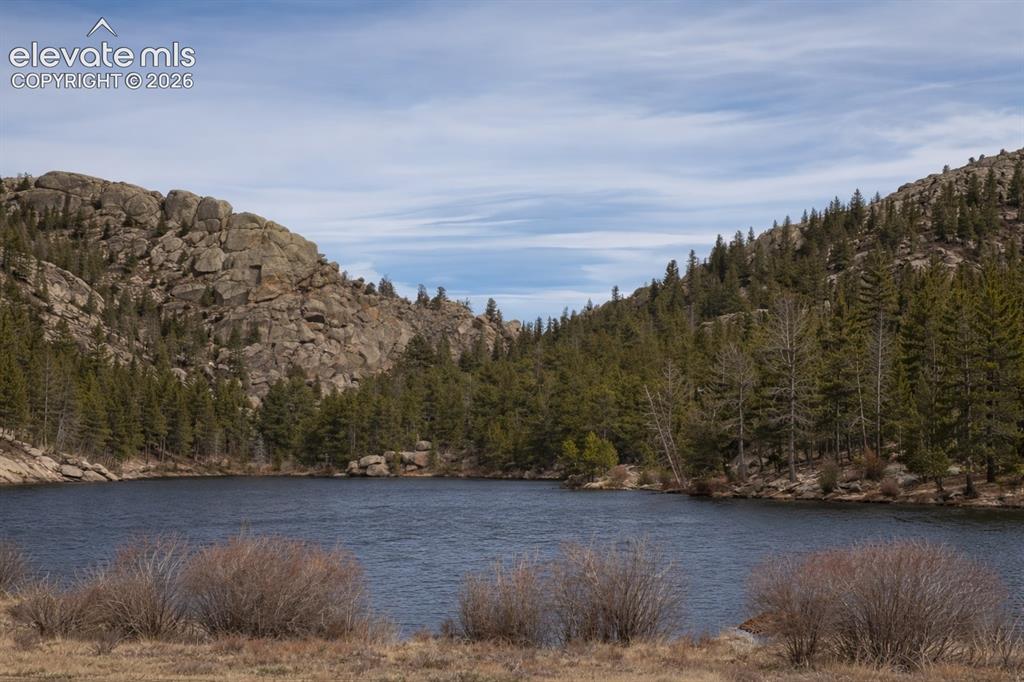 Image 45 of 50: View