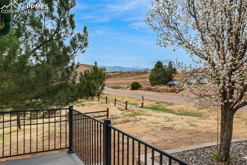 Image 12 of 50: Other